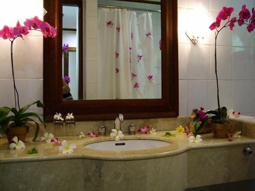 decorar baño femenino